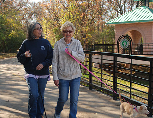 Ladies Walking Dog