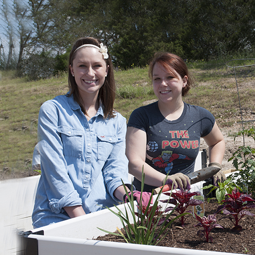 Healthy Gardens Student Volunteers