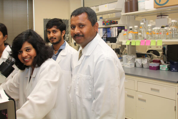 Narendra Kumar, Ph.D., Associate Professor Of Pharmaceutical Sciences, Jayshree Mishra, Ph.D., Research Assistant, Serve As Co-principal Investigators For A Sub-contract Of An NIH-funded Initiative To Develop A Device That Measure Drug Effectiveness. Texas A&M University-Kingsville Electrical Engineering Graduate Students Lakshmi Korrapati And Saikrishna Krishna Work In The Lab On The Project.