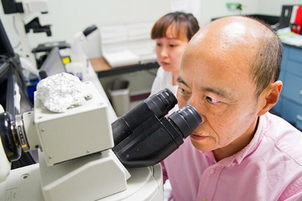 Researcher Looking In Microscope