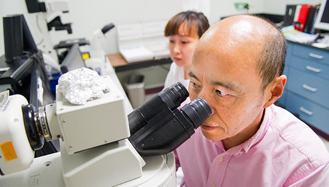 Researcher looking in microscope