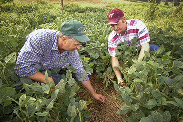 Access To Health Care Services In Rural America Continues To Be The Most Frequently Identified Rural Health Priority.