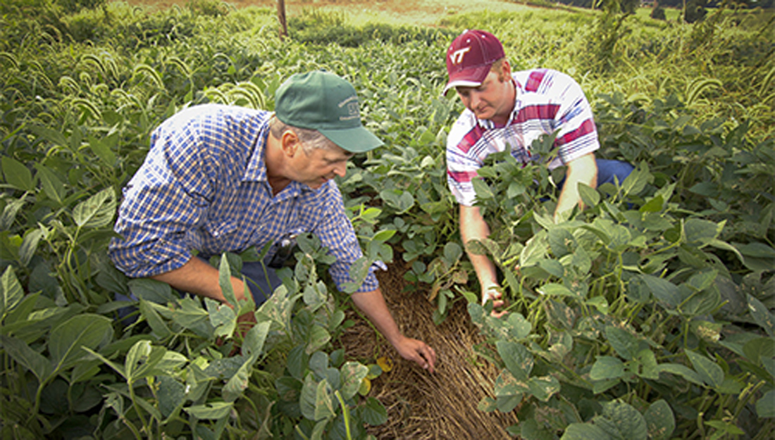 Access to health care services in rural America continues to be the most frequently identified rural health priority.