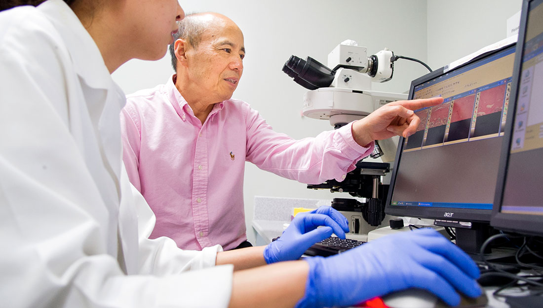 Dr. Jerry Feng, professor in biomedical sciences at TAMBCD