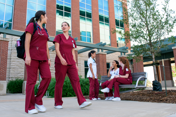 Texas A&M College Of Nursing Dean Receives Distinguished Achievement Award