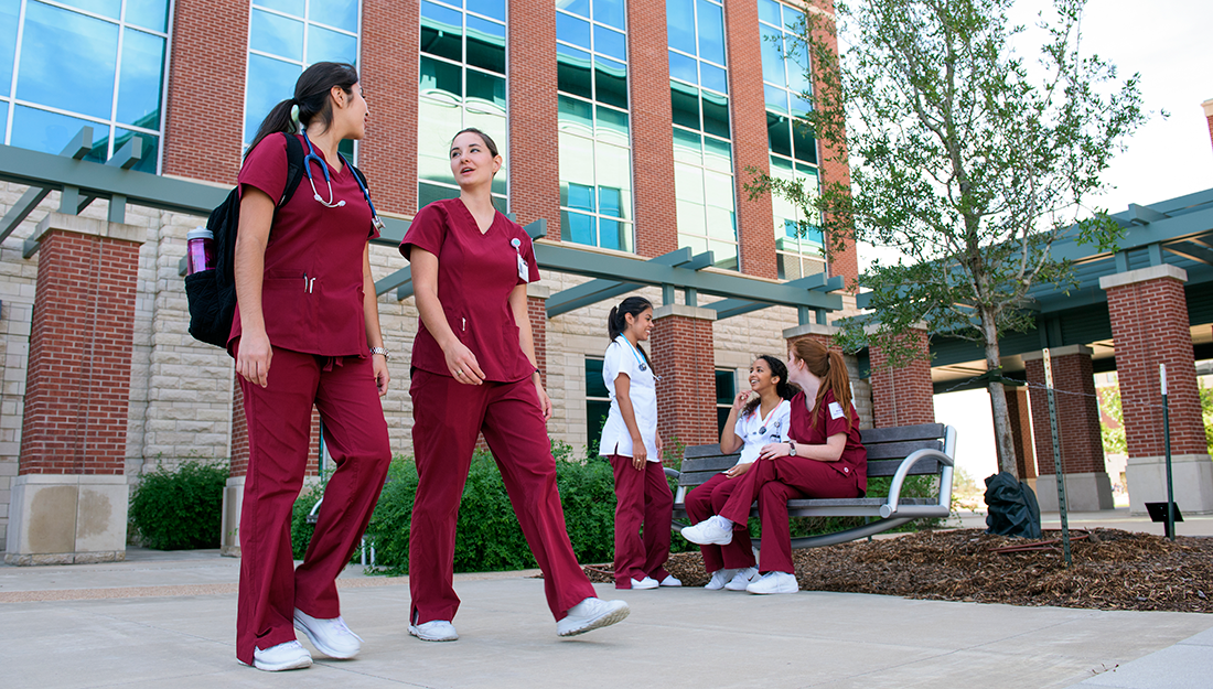 Texas A&M College of Nursing dean receives distinguished achievement award