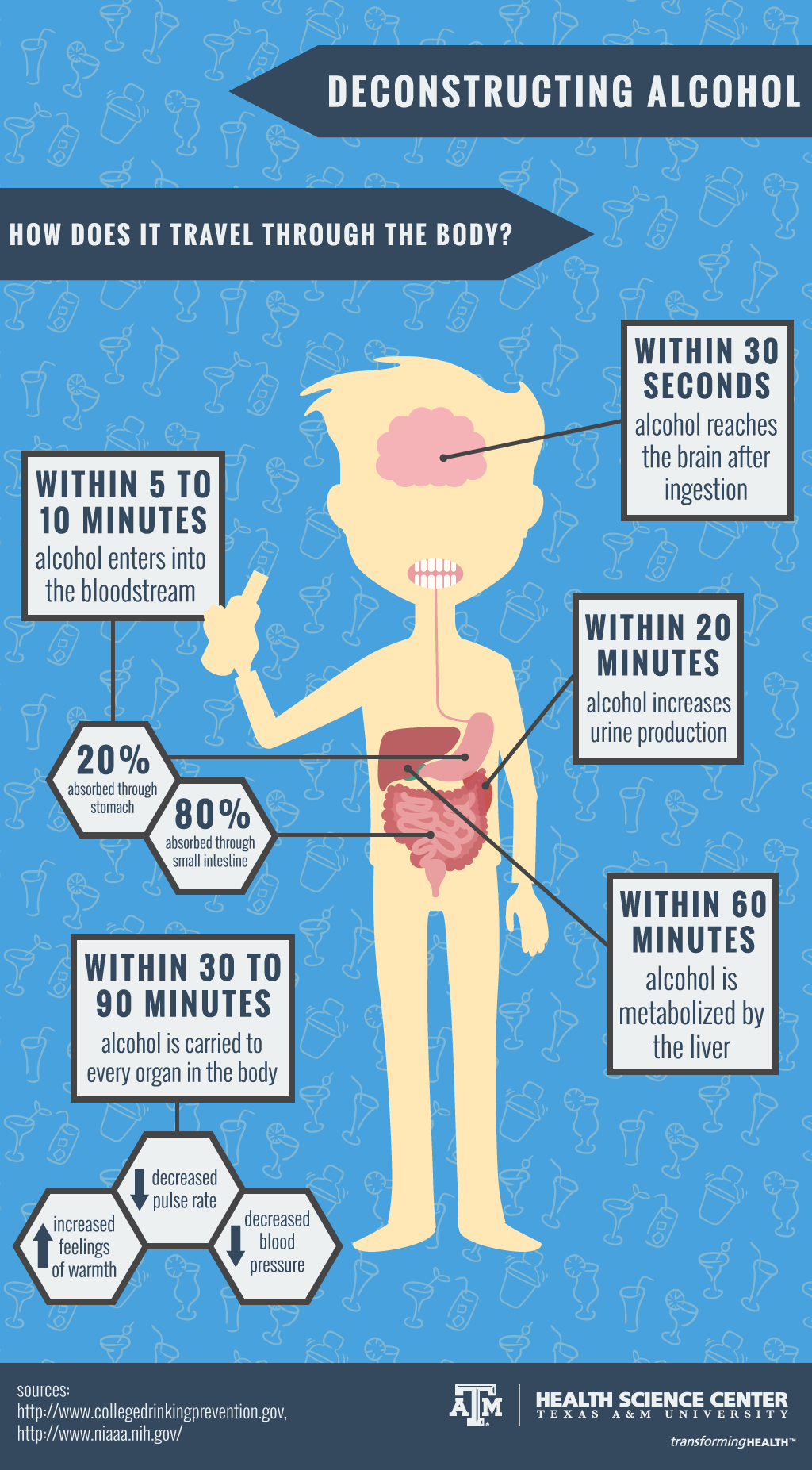 how alcohol travels through the body