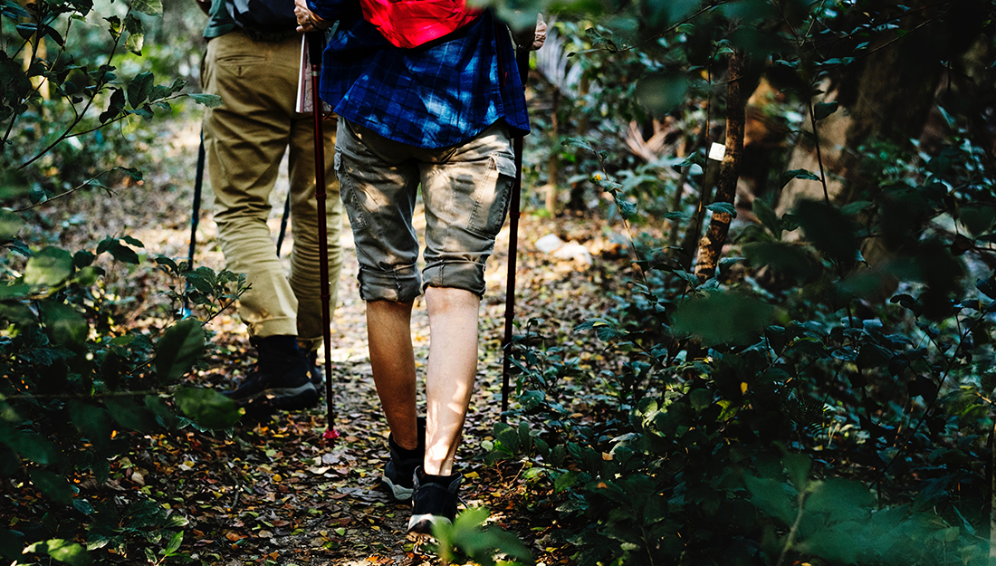 Walking in the woods