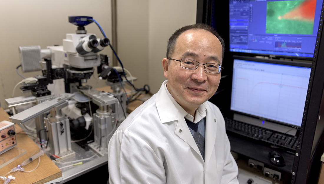 Dr. Jun Wang in his lab