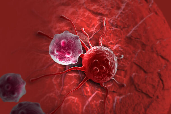 Cancer Cell