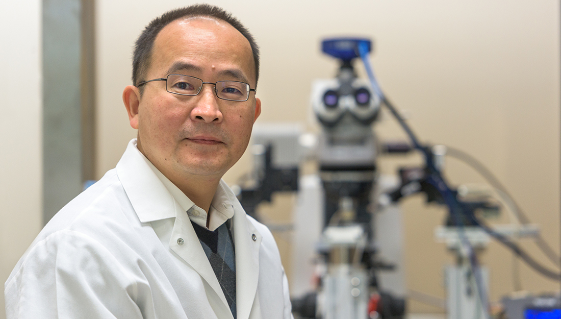 Picture of head researcher, Jun Wang, MD, in his laboratory