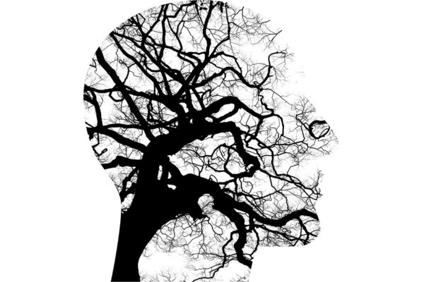 Addressing The Psychiatry Shortage_A Picture Of A Tree Within The Shape Of A Human Head