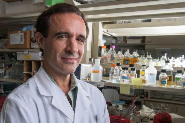 Jeffrey Cirillo Stands In His Lab