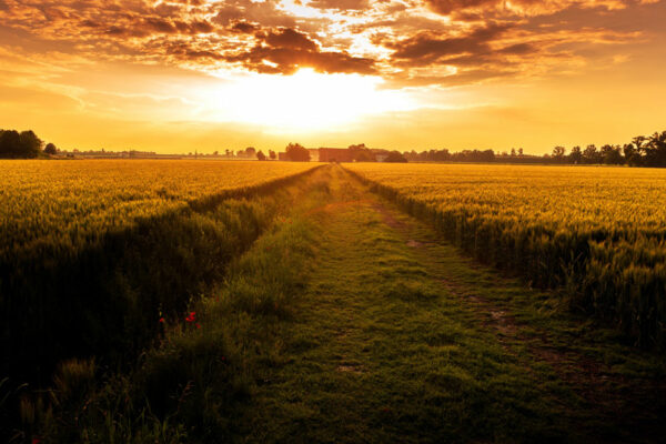 Photo Of Sunset Over A Field Looking Onto A Small Town