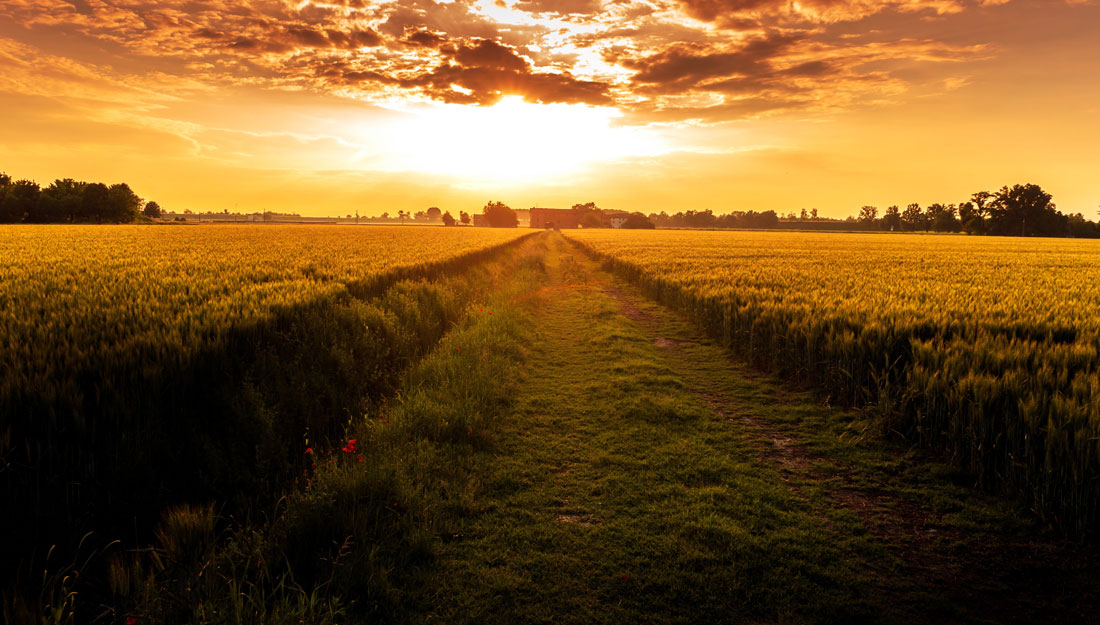 photo of sunset over a field looking onto a small town