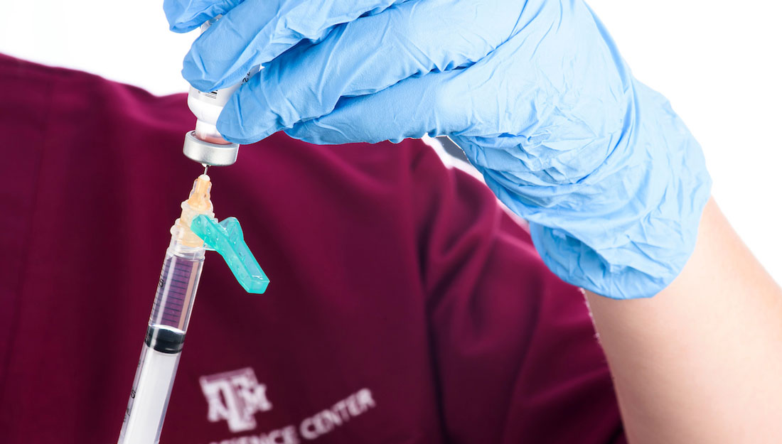 health care professional wearing gloves doses a vaccination into syringe