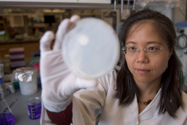 Zhilei Chen In Her Lab