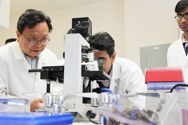 School Of Pharmacy Faculty Leads Cutting-edge Research In Labs In College Station And Kingsville