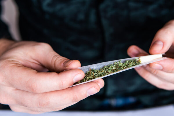 Man Preparing And Rolling Marijuana Cannabis Cigarette