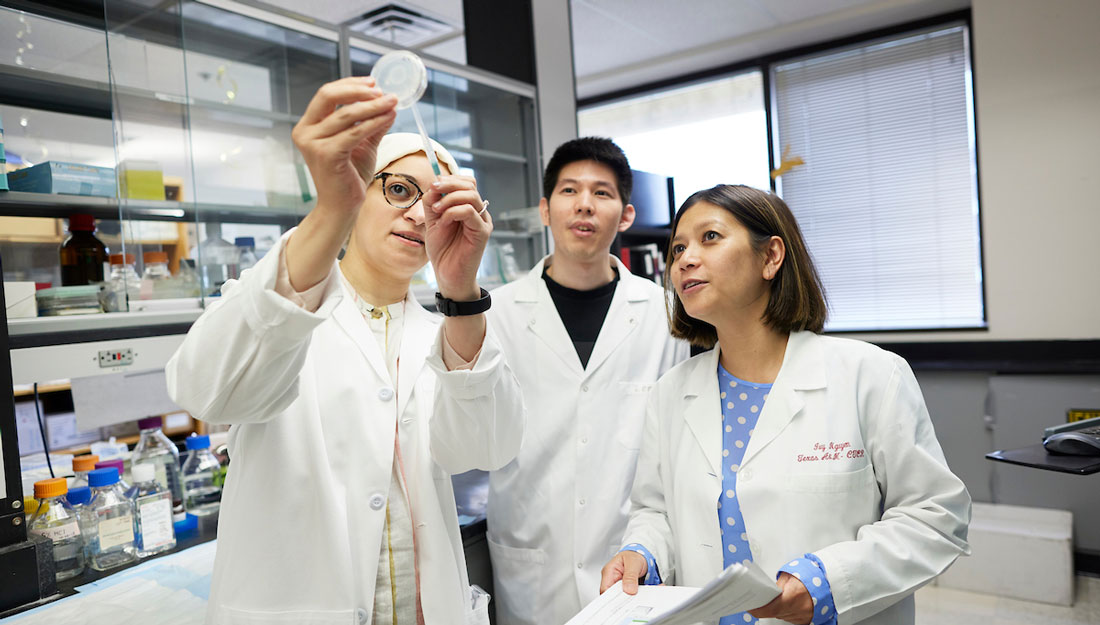 scientists working in a laboratory look at a Petri dish together