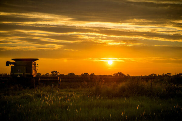 Sunset Over A Farm With A Tractor In The Foreground. Rural Health