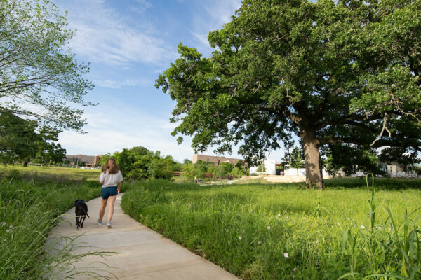 Young Woman Walks Dog Through A City Park