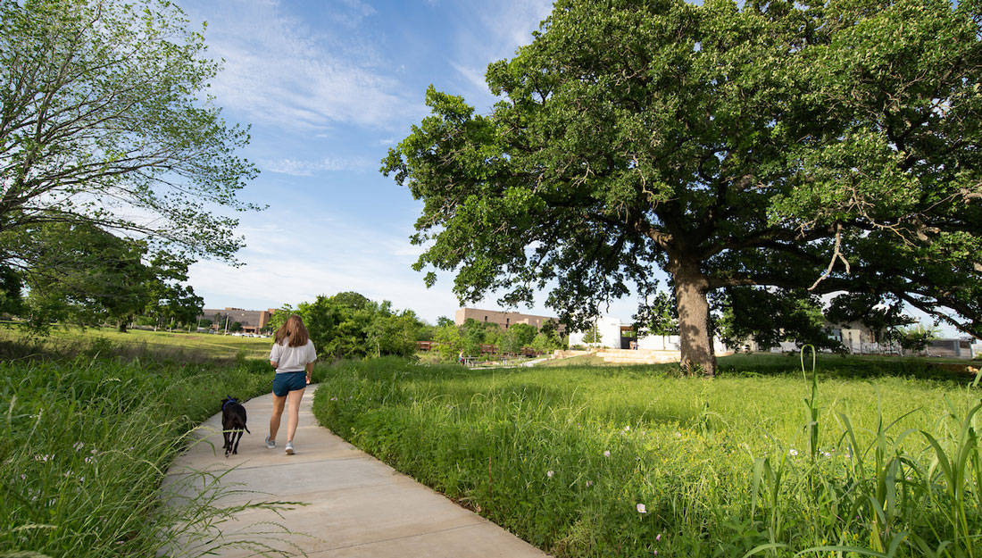 young woman walks dog through a city park