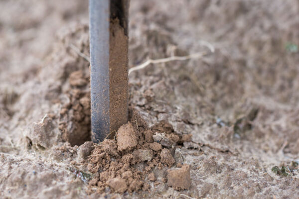 Probe Taking Sample Of Soil To Test For Heavy Metals