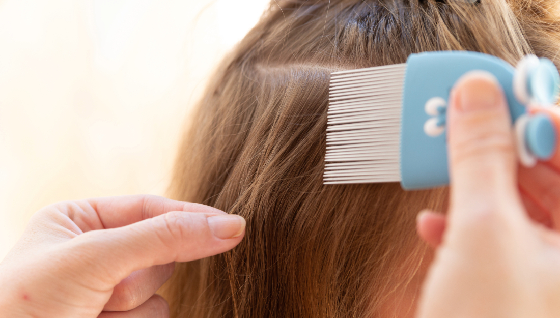 a pair of hands in the foreground with a nit comb in one and a strand of hair in the other with a head of long, brown hair in the background