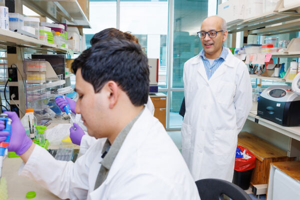 Three Researchers Work In A Lab