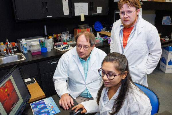 Scientists Wearing White Lab Coats Look At An Image On A Computer Monitor Together