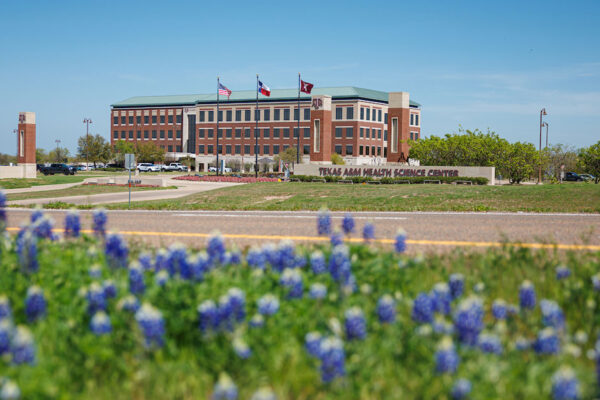 Texas A&M Health Science Center Campus Beneath A Blue Sky With Bluebonnets Blooming In The Foreground